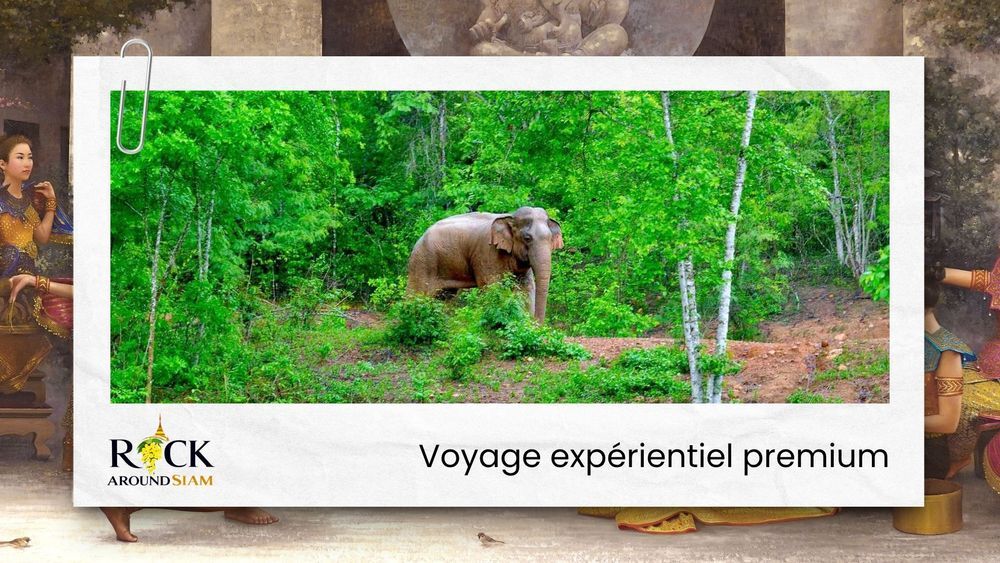 Rock Around Siam l Boutique-Agence de Voyage Sur Mesure l Voyages et visites privés sur mesure l Expériences culturelles immersives
