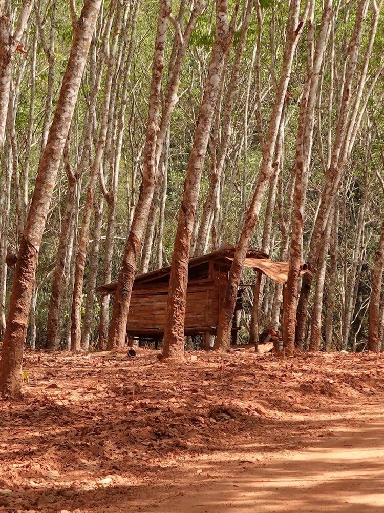 Bespoke Private Journeys & Tours | Immersive Cultural Experiences in Thailand (Bangkok-based boutique travel agency)