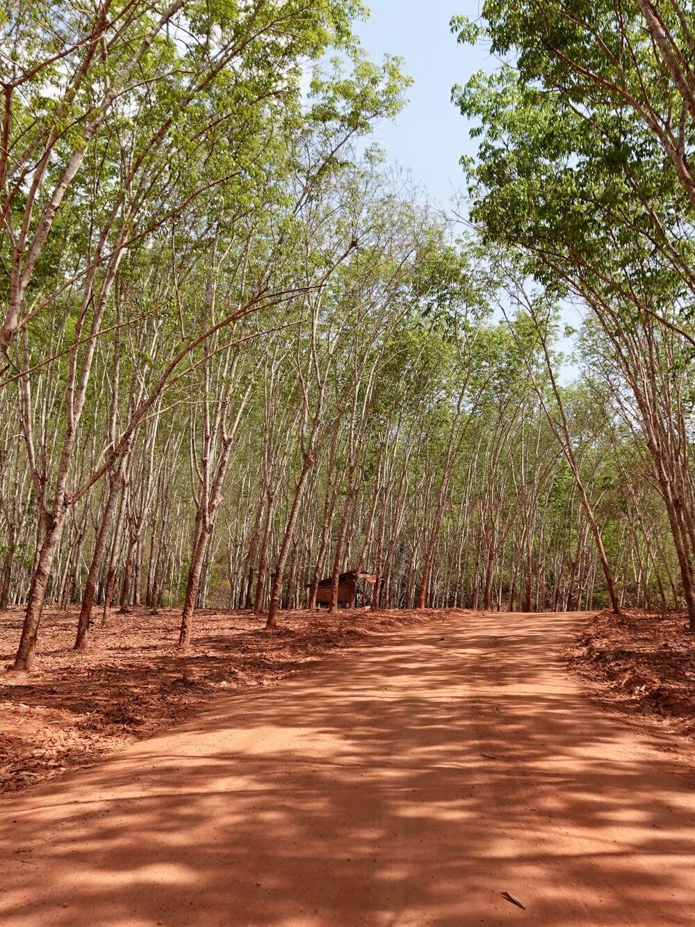 Voyages et Visites Privés Sur Mesure | Expériences Culturelles Immersives en Thaïlande (Boutique-agence de voyages basée à Bangkok)