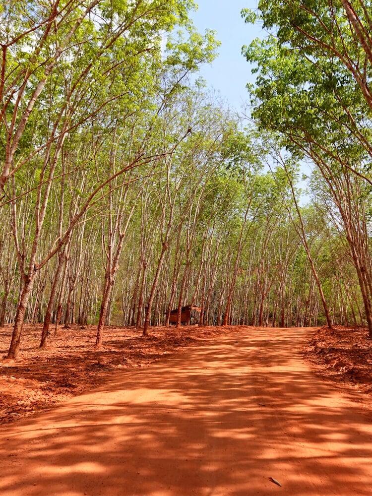 Voyages et Visites Privés Sur Mesure | Expériences Culturelles Immersives en Thaïlande (Boutique-agence de voyages basée à Bangkok)