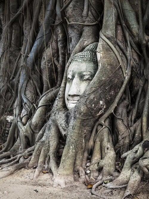 Rock Around Siam | Boutique Bespoke Travel Agency | Tailor-Made Private Journeys & Tours | Immersive Cultural Experiences