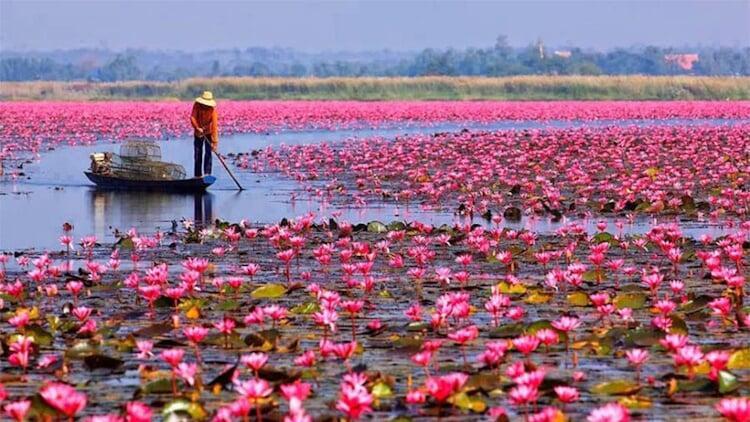 Rock Around Siam | Boutique Bespoke Travel Agency | Tailor-Made Private Journeys & Tours | Immersive Cultural Experiences