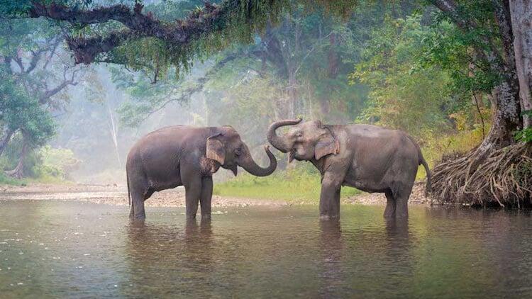 Rock Around Siam | Boutique Bespoke Travel Agency | Tailor-Made Private Journeys & Tours | Immersive Cultural Experiences