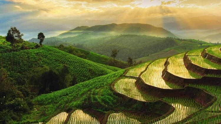 Rock Around Siam | Boutique Bespoke Travel Agency | Tailor-Made Private Journeys & Tours | Immersive Cultural Experiences