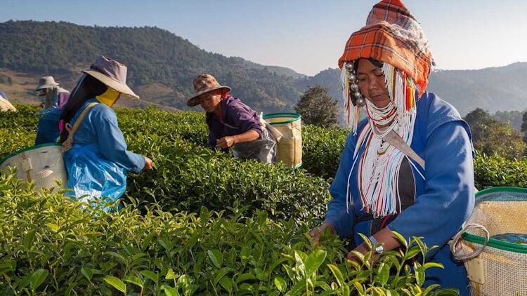 Rock Around Siam | Boutique Bespoke Travel Agency | Tailor-Made Private Journeys & Tours | Immersive Cultural Experiences